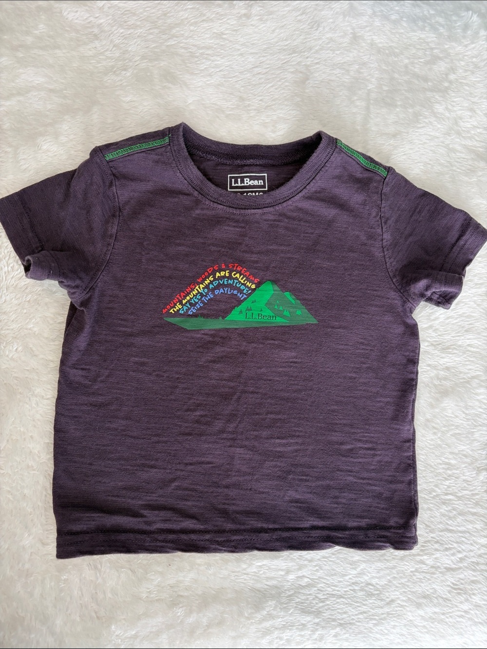 L.L. Bean Kids' Deep Purple/Blue Tee | Size 12-18months